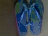 Havaianas Customizadas